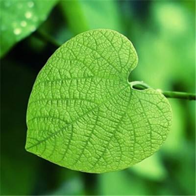 月神传说手游官方(暂未上线)v1.01 安卓最新版